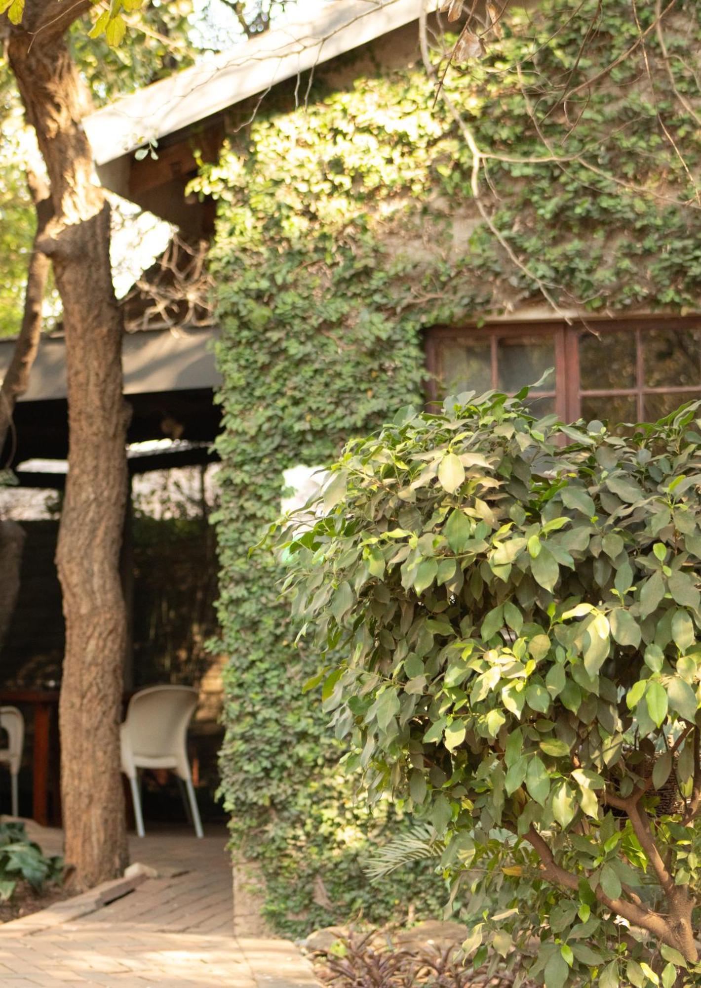 Paradise Creek Lodge Malalane Extérieur photo